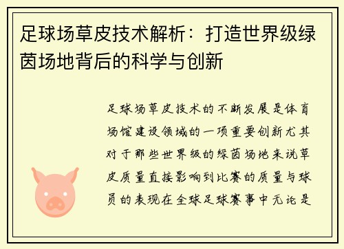足球场草皮技术解析：打造世界级绿茵场地背后的科学与创新